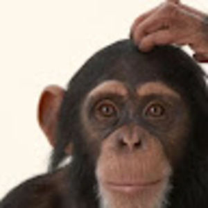 Meet your Posher, Elijah